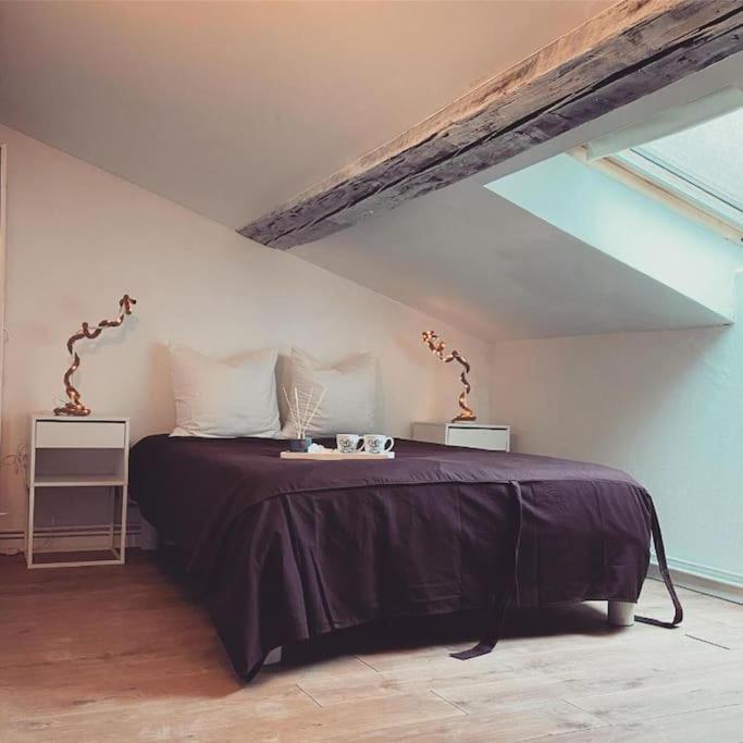 Nancy Appartement En Triplex Plein Centre Exterior photo